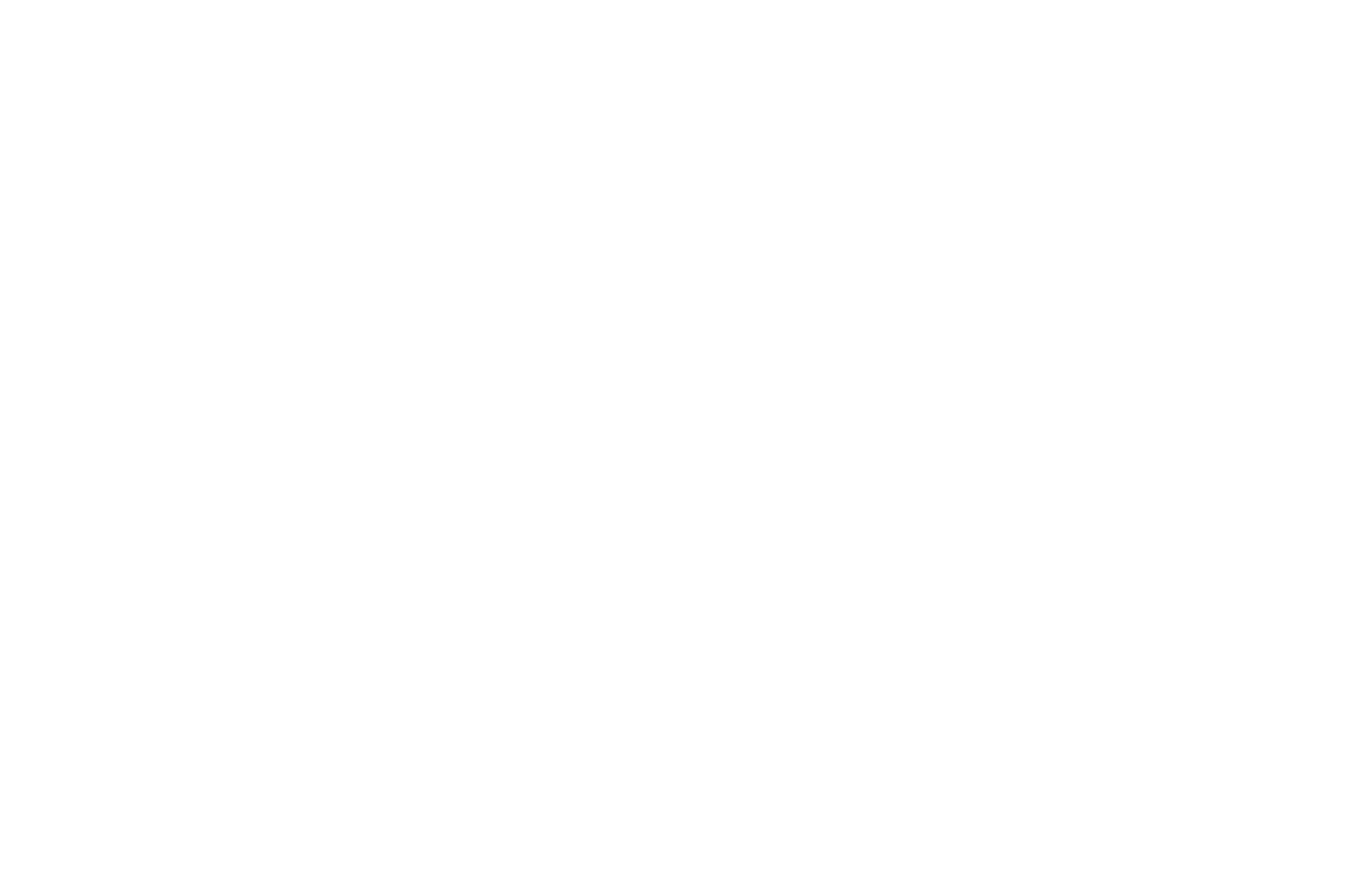 Young Lions Czechia